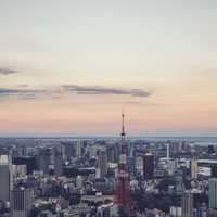 Skyline and City View of Tokyo