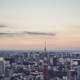 Skyline and City View of Tokyo