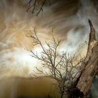 A stream swollen by seasonal rains rushes past a fallen tree branch in Nairobi National Park