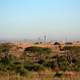 Game Preserve with Nairobi in the Background