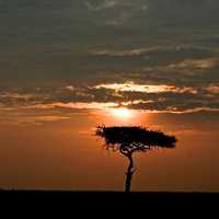 Sunset over the Plains landscape in Kenya