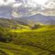 Landscape, hills and farms in Malaysia