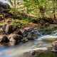 Streams and nature landscape in Jalisco