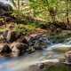 Streams and nature landscape in Jalisco