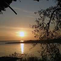 Sunset beyond the trees over the lake in Montenegro