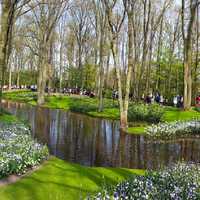 Garden in Amsterdam, Netherlands