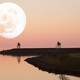 Moonrise by the shore in Holland, Netherlands