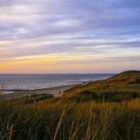 Dunes at Scheveningen and at Kijkduin near Hague, Netherlands