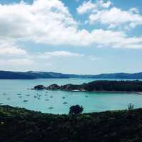 Boats in the Harbor under clouds in Auckland, New Zealand