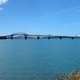 Harbour Bridge over the Bay in Auckland, New Zealand