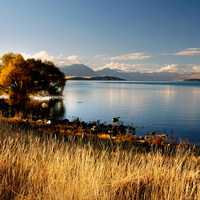 Evening Landscape around Lake Tekapo in New Zealand