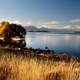 Evening Landscape around Lake Tekapo in New Zealand