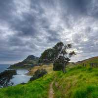 Hillside Landscape under Clouds in New Zealand