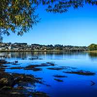 Lake and shoreline landscape of the Clutha River in New Zealand