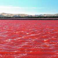 Lake Grassmere Saltworks in New Zealand