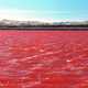 Lake Grassmere Saltworks in New Zealand