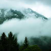 Mountain landscape with forest and clouds and fog in New Zealand