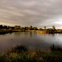 Pond at Styx Mill Conservation Reserve landscape in New Zealand