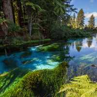 River Scenic and landscape in New Zealand