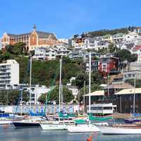 Ships in the Bay in Wellington, New Zealand