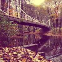 Autumn with bridge over a creek in Norway