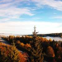 Forest road and mist in Norway