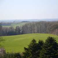 Meadows and forests and trees