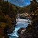 Rushing river flowing through the forest