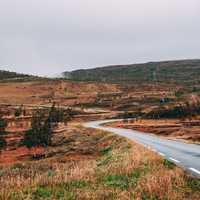 Scenic roadway in Norway