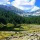 Mountains with Pine Trees