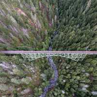 Aerial View of Bridge and Trees