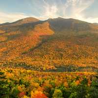 Autumn landscapes with hills and trees