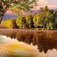 Beautiful Pond landscape during sunrise