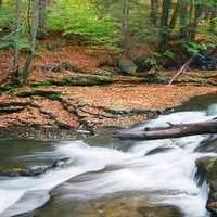 Beautiful running River Scenery