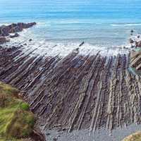 Beautiful Seashore Landscape