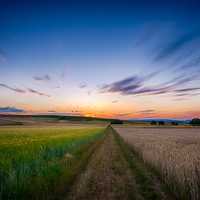 Beautiful Sunset under blue skies on the farm