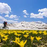 Biker going past Mountain landscape with flowers