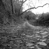 Black and White hiking trail