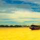 Boat on the yellow river landscape