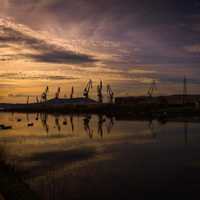 Cranes and Machines in the dusk light
