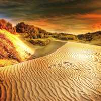 Desert and Sand Dunes Landscape