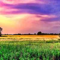 Dusk Color sky with grassy field