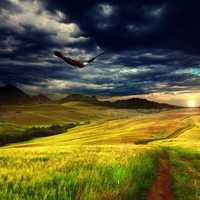 Eagle flying over the landscape with clouds above