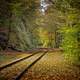 Fall Railroad Tracks and leaves in the forest