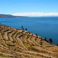 Farms landscape with ocean on an island