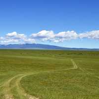 Scenic photo at the Paint Rock Angus Ranch in Lavina, Montana.  