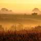 Orange Dusk landscape view silhouette