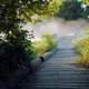 Fog on the wooden bridge walkway