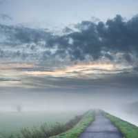 Foggy Path landscape 