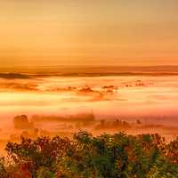 Foggy Sunrise Overlook